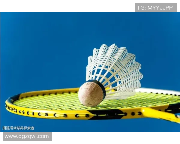 科学羽毛球战术训练方法探究与实战应用技巧分享